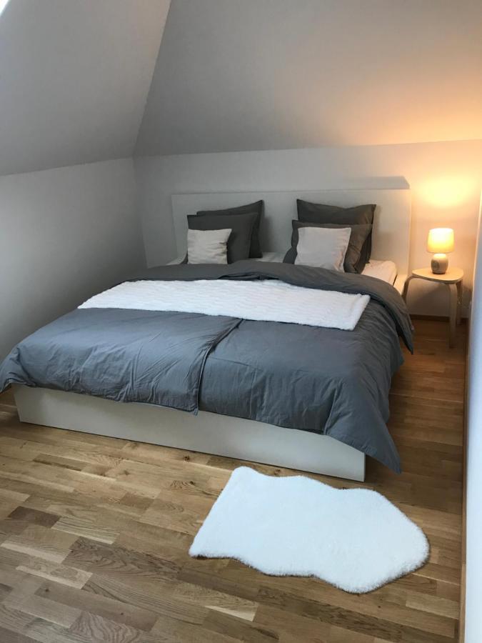 Ubytování U Potoka Destne v Orlickych horach Esterno foto