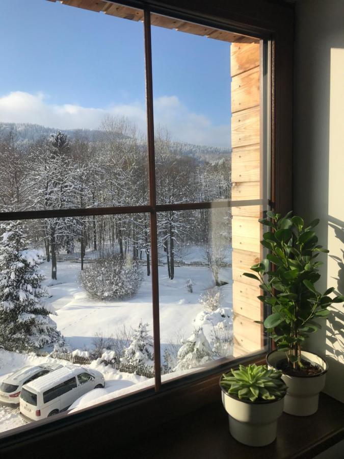 Ubytování U Potoka Destne v Orlickych horach Esterno foto