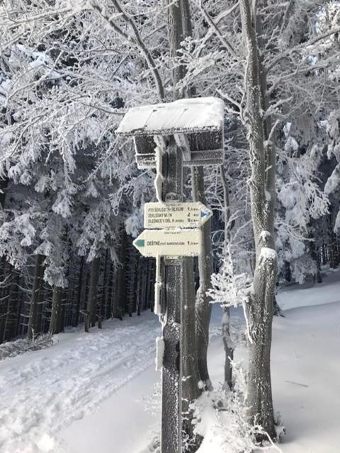 Ubytování U Potoka Destne v Orlickych horach Esterno foto