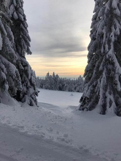 Ubytování U Potoka Destne v Orlickych horach Esterno foto