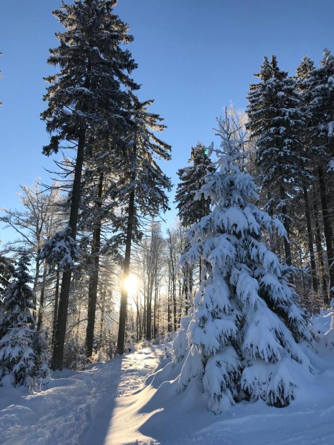 Ubytování U Potoka Destne v Orlickych horach Esterno foto
