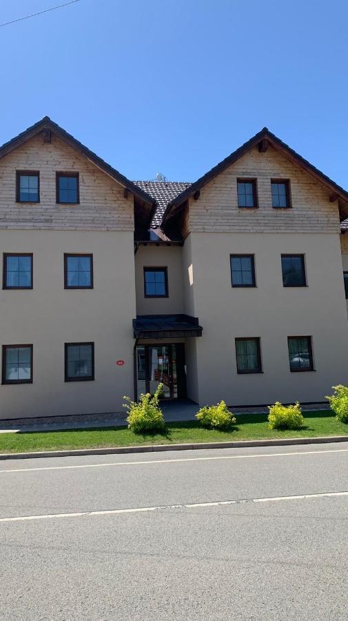 Ubytování U Potoka Destne v Orlickych horach Esterno foto