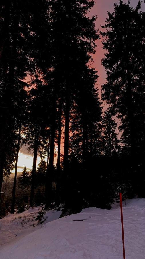 Ubytování U Potoka Destne v Orlickych horach Esterno foto