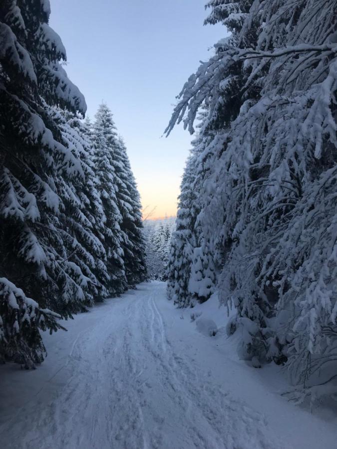 Ubytování U Potoka Destne v Orlickych horach Esterno foto