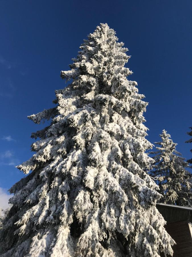 Ubytování U Potoka Destne v Orlickych horach Esterno foto
