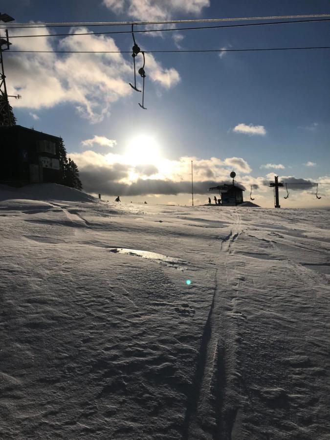 Ubytování U Potoka Destne v Orlickych horach Esterno foto